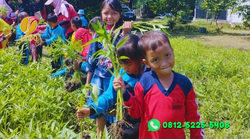 outbound-edukasi-sidoarjo